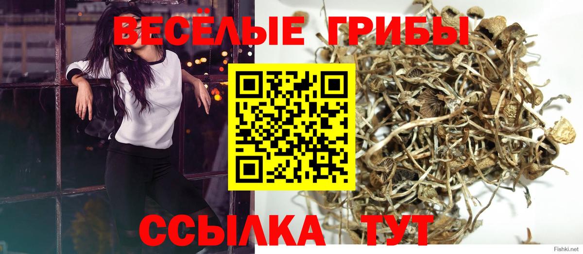 Псилоцибиновые грибы ЛСД Борисоглебск