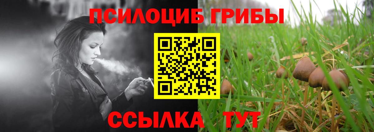 Борисоглебск  Псилоцибиновые грибы Cubensis  Вход с VPN 